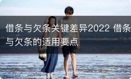 借条与欠条关键差异2022 借条与欠条的适用要点