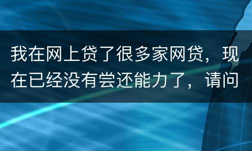 我在网上贷了很多家网贷，现在已经没有尝还能力了，请问我该怎么办，会被坐牢吗