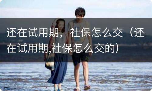还在试用期，社保怎么交（还在试用期,社保怎么交的）