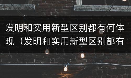 发明和实用新型区别都有何体现（发明和实用新型区别都有何体现呢）