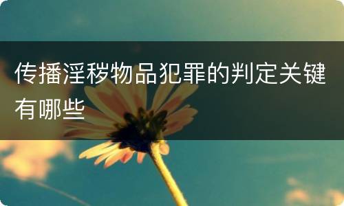 传播淫秽物品犯罪的判定关键有哪些