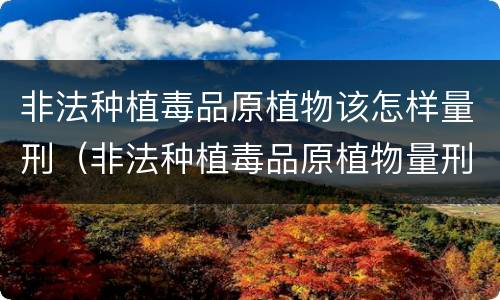 非法种植毒品原植物该怎样量刑（非法种植毒品原植物量刑标准）