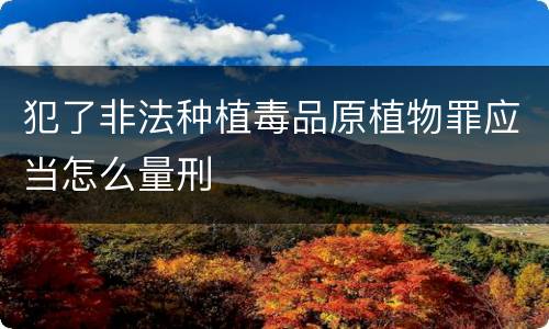 犯了非法种植毒品原植物罪应当怎么量刑