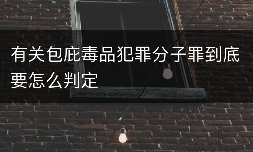 有关包庇毒品犯罪分子罪到底要怎么判定