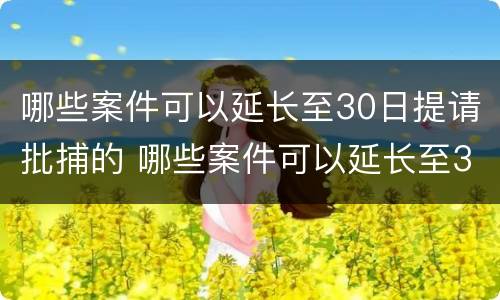 哪些案件可以延长至30日提请批捕的 哪些案件可以延长至30日提请批捕的时效