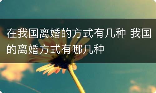 在我国离婚的方式有几种 我国的离婚方式有哪几种