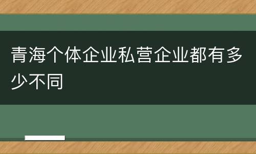 青海个体企业私营企业都有多少不同