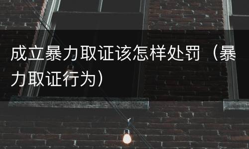成立暴力取证该怎样处罚（暴力取证行为）