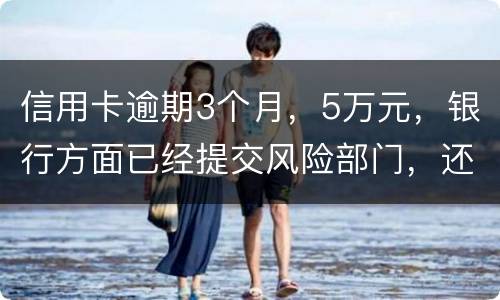 信用卡逾期3个月，5万元，银行方面已经提交风险部门，还不上什么办