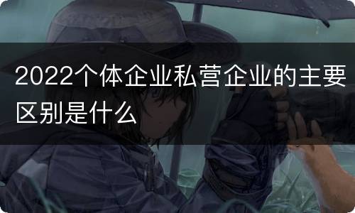 2022个体企业私营企业的主要区别是什么