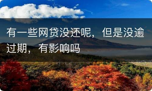 有一些网贷没还呢，但是没逾过期，有影响吗