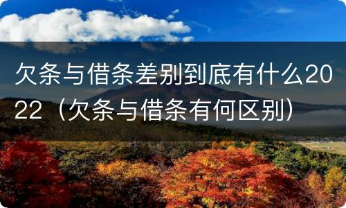 欠条与借条差别到底有什么2022（欠条与借条有何区别）