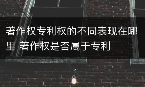 著作权专利权的不同表现在哪里 著作权是否属于专利
