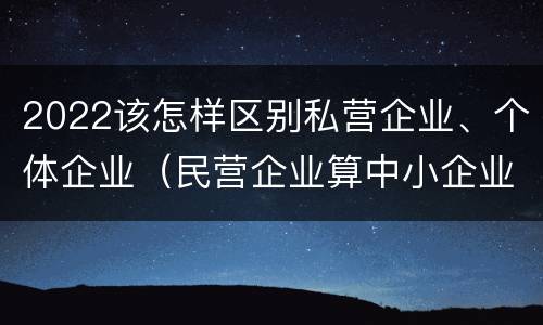 2022该怎样区别私营企业、个体企业（民营企业算中小企业吗）