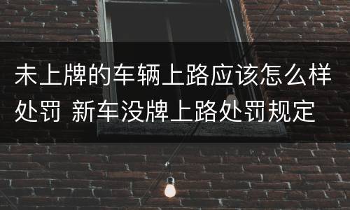 未上牌的车辆上路应该怎么样处罚 新车没牌上路处罚规定