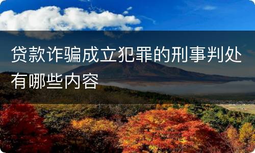 贷款诈骗成立犯罪的刑事判处有哪些内容