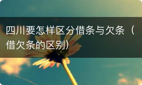 四川要怎样区分借条与欠条（借欠条的区别）