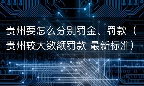 贵州要怎么分别罚金、罚款（贵州较大数额罚款 最新标准）