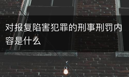 对报复陷害犯罪的刑事刑罚内容是什么