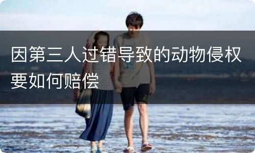 因第三人过错导致的动物侵权要如何赔偿