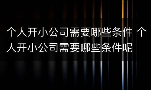 个人开小公司需要哪些条件 个人开小公司需要哪些条件呢