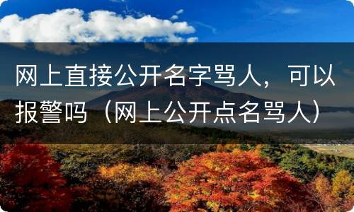 网上直接公开名字骂人，可以报警吗（网上公开点名骂人）