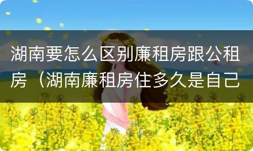 湖南要怎么区别廉租房跟公租房（湖南廉租房住多久是自己的）