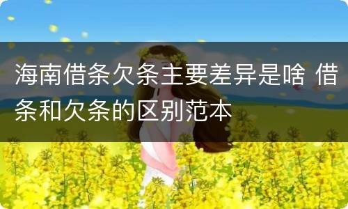 海南借条欠条主要差异是啥 借条和欠条的区别范本
