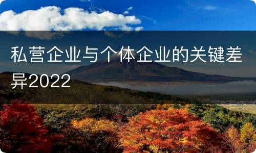 私营企业与个体企业的关键差异2022