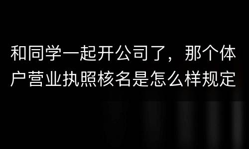 和同学一起开公司了，那个体户营业执照核名是怎么样规定的