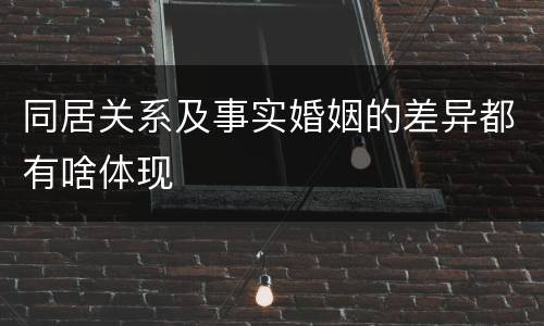 同居关系及事实婚姻的差异都有啥体现