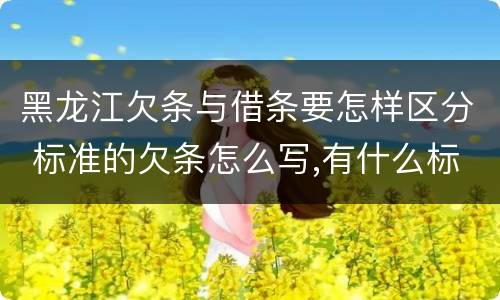 黑龙江欠条与借条要怎样区分 标准的欠条怎么写,有什么标准