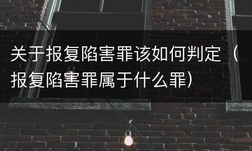 关于报复陷害罪该如何判定（报复陷害罪属于什么罪）