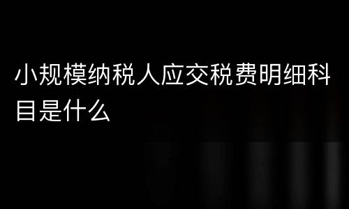 小规模纳税人应交税费明细科目是什么