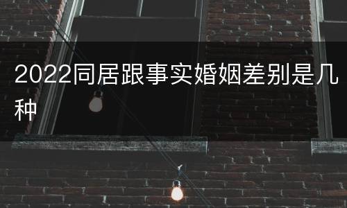 2022同居跟事实婚姻差别是几种