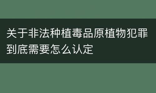 关于非法种植毒品原植物犯罪到底需要怎么认定