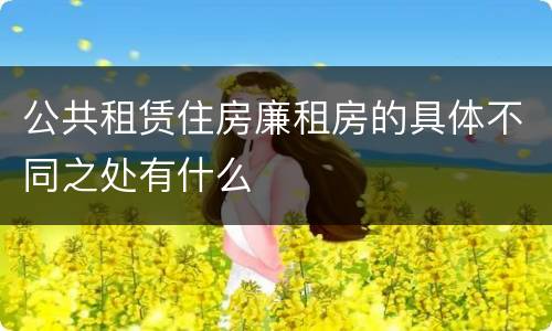 公共租赁住房廉租房的具体不同之处有什么