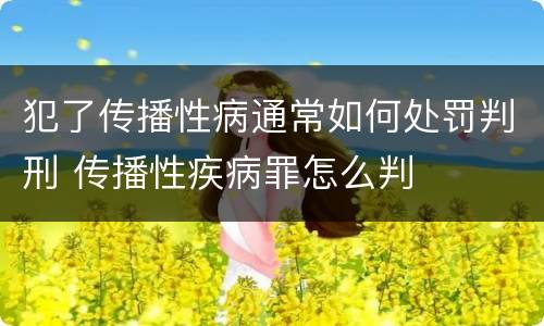 犯了传播性病通常如何处罚判刑 传播性疾病罪怎么判