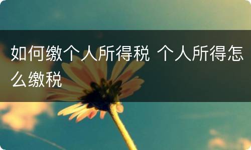 如何缴个人所得税 个人所得怎么缴税