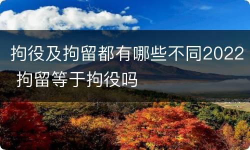 拘役及拘留都有哪些不同2022 拘留等于拘役吗