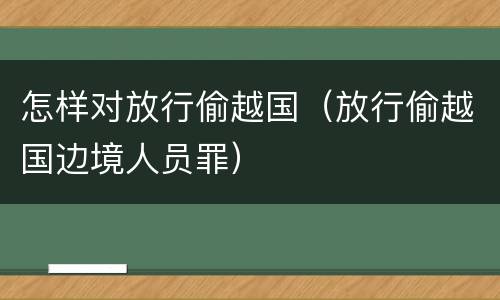 怎样对放行偷越国（放行偷越国边境人员罪）
