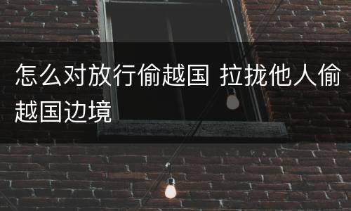怎么对放行偷越国 拉拢他人偷越国边境