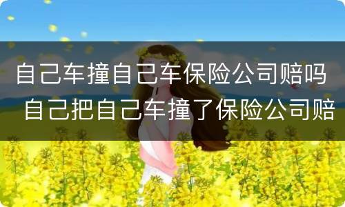 自己车撞自己车保险公司赔吗 自己把自己车撞了保险公司赔吗