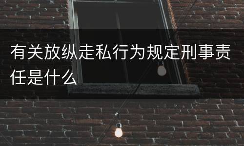 有关放纵走私行为规定刑事责任是什么