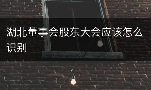 湖北董事会股东大会应该怎么识别
