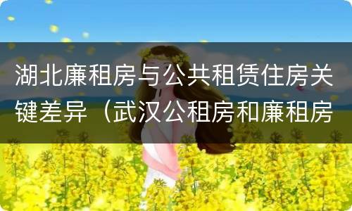 湖北廉租房与公共租赁住房关键差异（武汉公租房和廉租房）