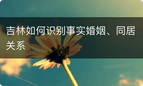 吉林如何识别事实婚姻、同居关系