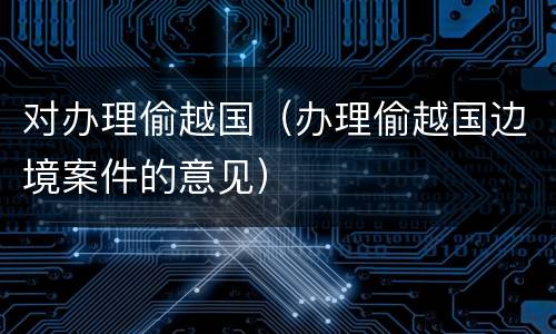 对办理偷越国（办理偷越国边境案件的意见）
