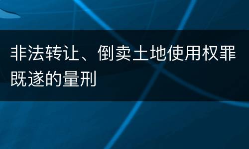 非法转让、倒卖土地使用权罪既遂的量刑