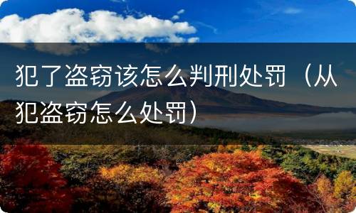 犯了盗窃该怎么判刑处罚（从犯盗窃怎么处罚）